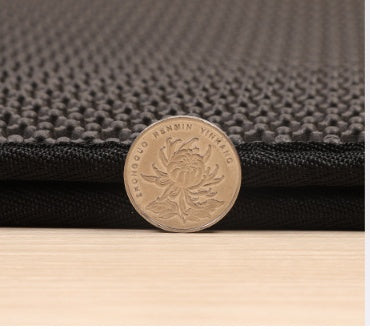 Tapis de Litière Double Épaisseur EVA pour Chat