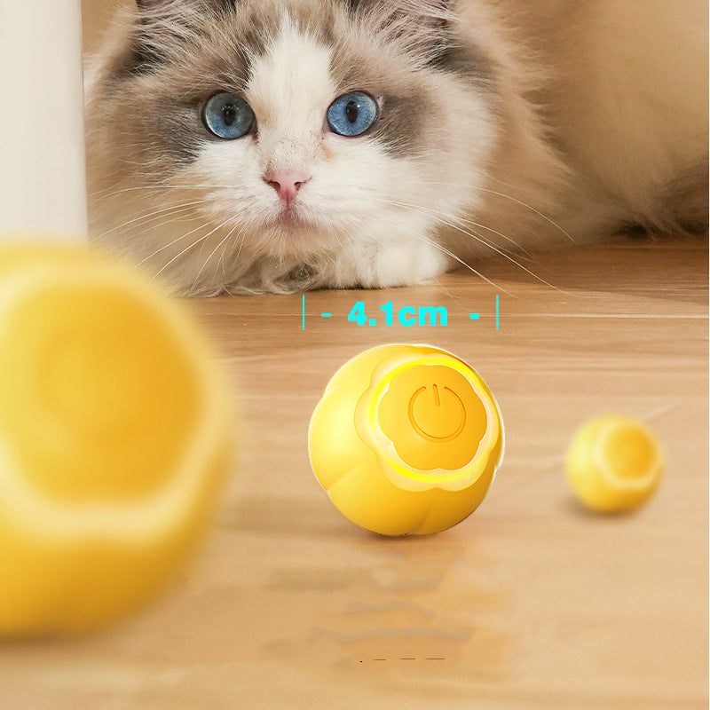 Jouet Balle Interactive Rechargeable pour Chat – Anti-Ennui & Anti-Morsure